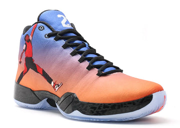 AIR JORDAN 29 'PHOTO REEL'