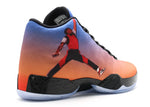 AIR JORDAN 29 'PHOTO REEL'
