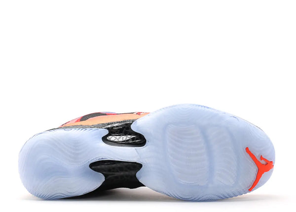 AIR JORDAN 29 'PHOTO REEL'